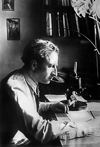 Н. В. <span class="nobr">Тимофеев-Ресовский</span>. <span class="nobr">Берлин-Бух</span>, 1940 г.